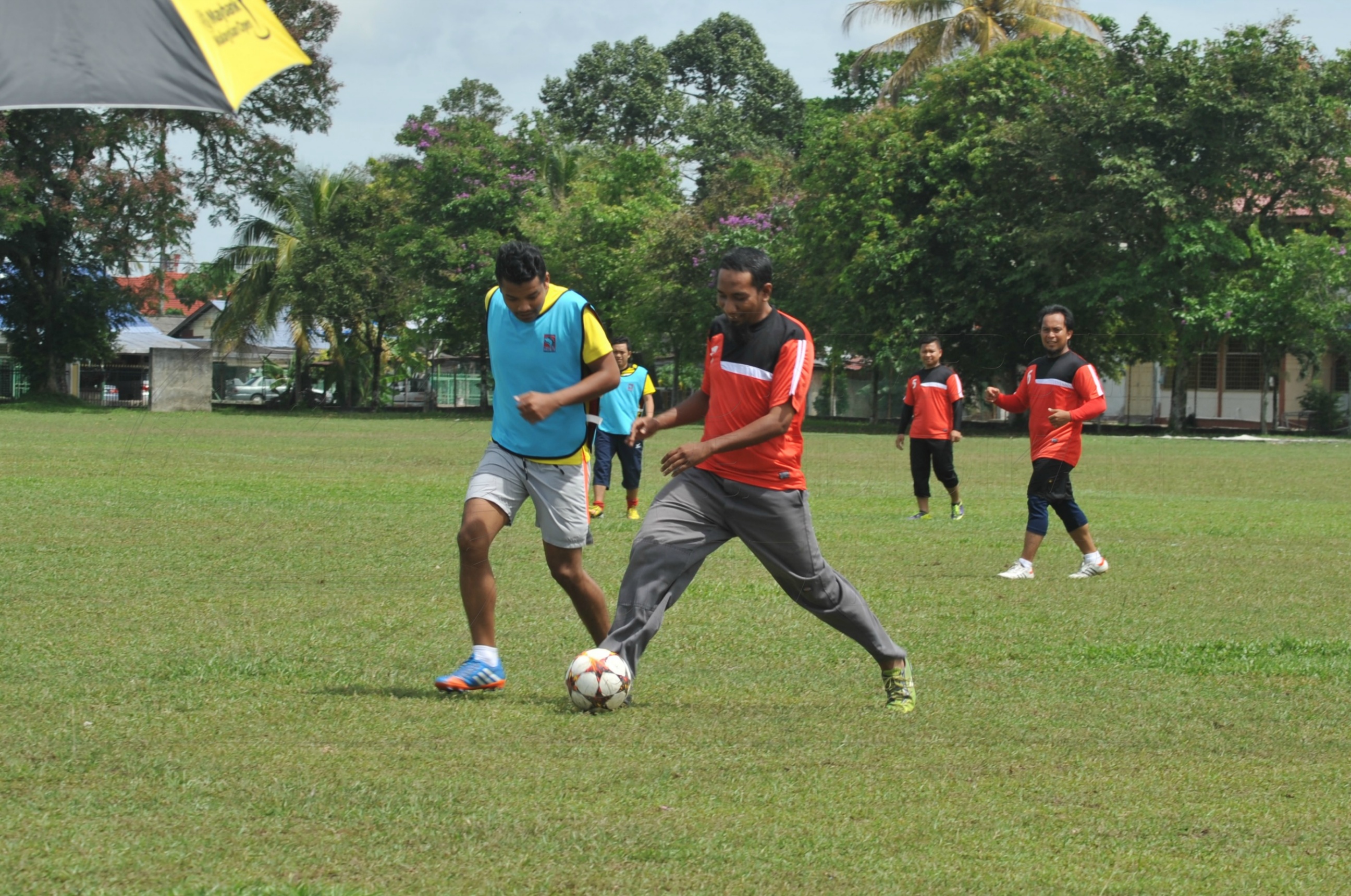 PRO 15 53 KIESTA HAS 6215